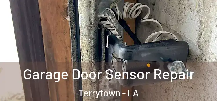 Garage Door Sensor Repair Terrytown - LA