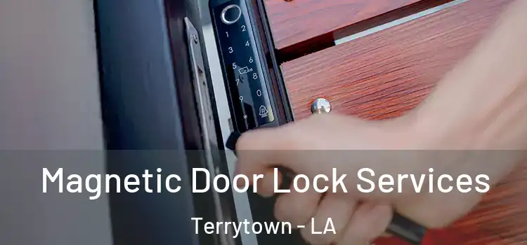 Magnetic Door Lock Services Terrytown - LA